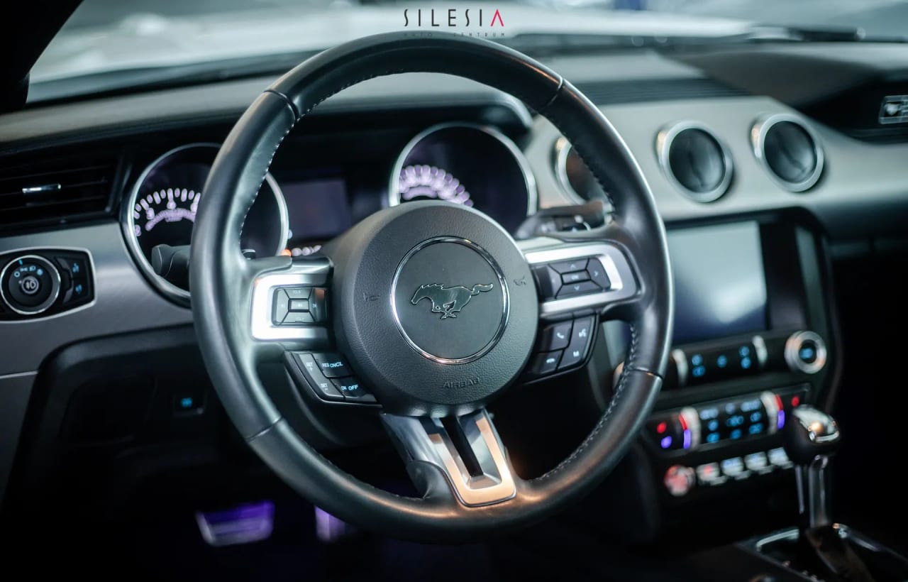 Zdjęcie oferty Ford Mustang nr. 15