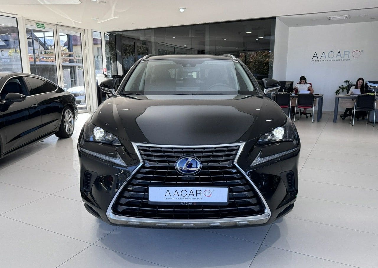 Zdjęcie oferty Lexus NX nr. 9