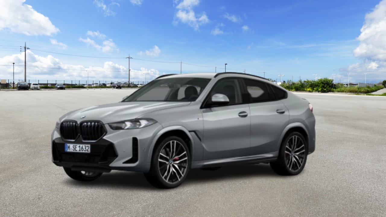 Zdjęcie oferty BMW X6 nr. 8