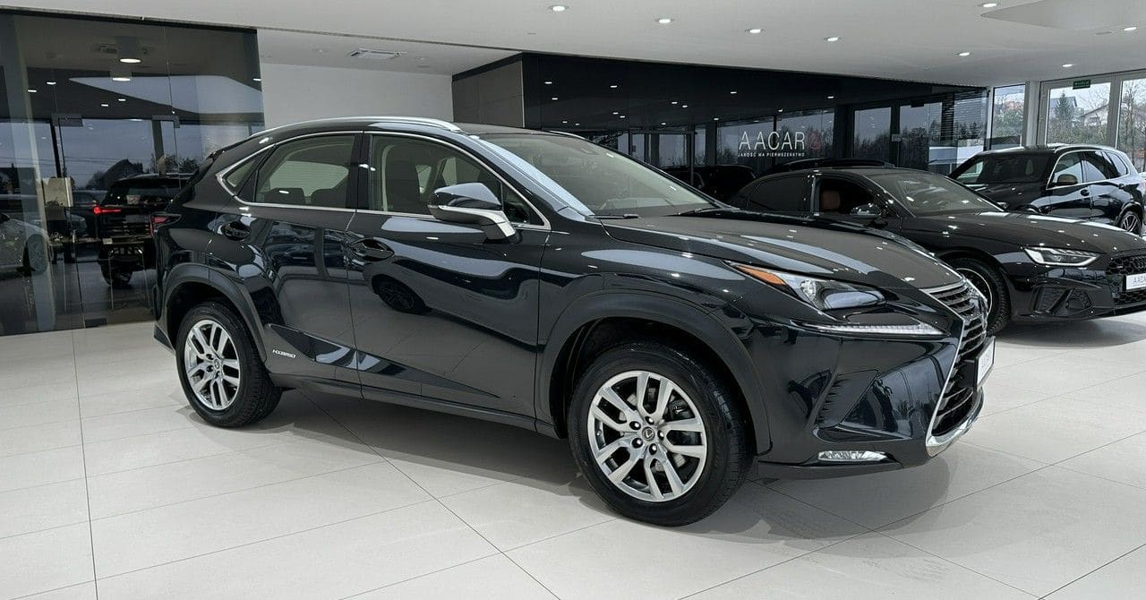 Zdjęcie oferty Lexus NX nr. 6