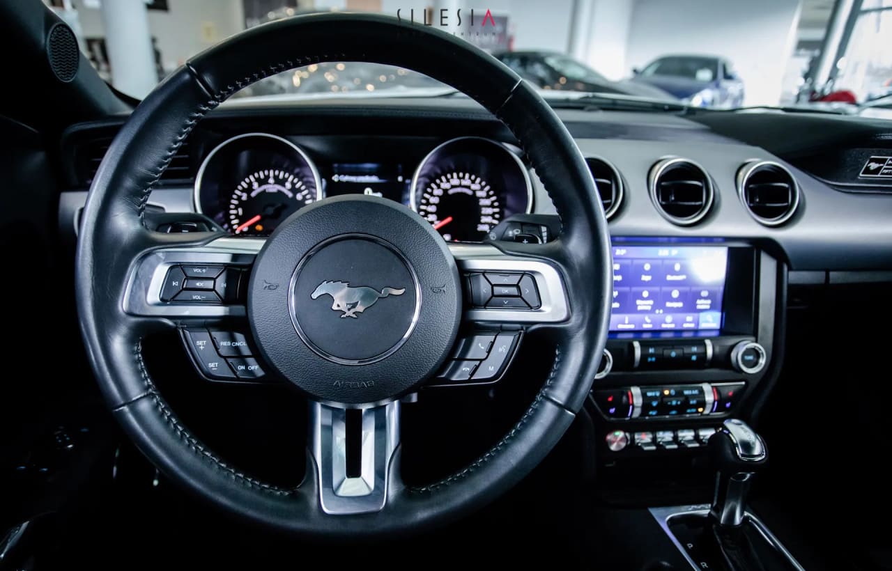 Zdjęcie oferty Ford Mustang nr. 18