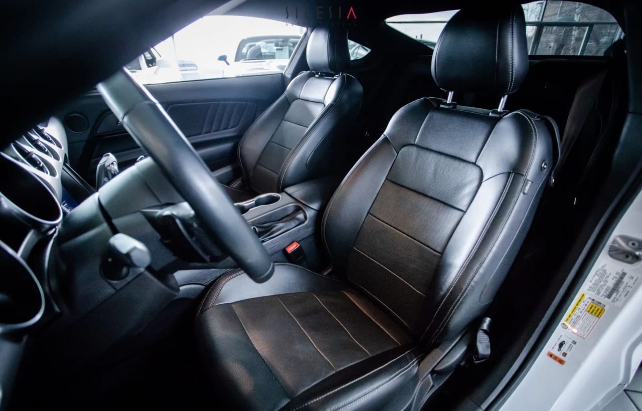 Zdjęcie oferty Ford Mustang nr. 20