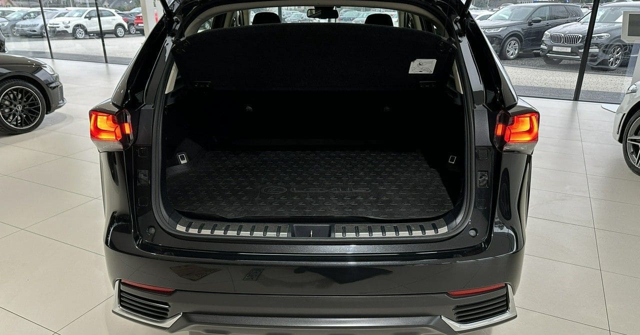Zdjęcie oferty Lexus NX nr. 17