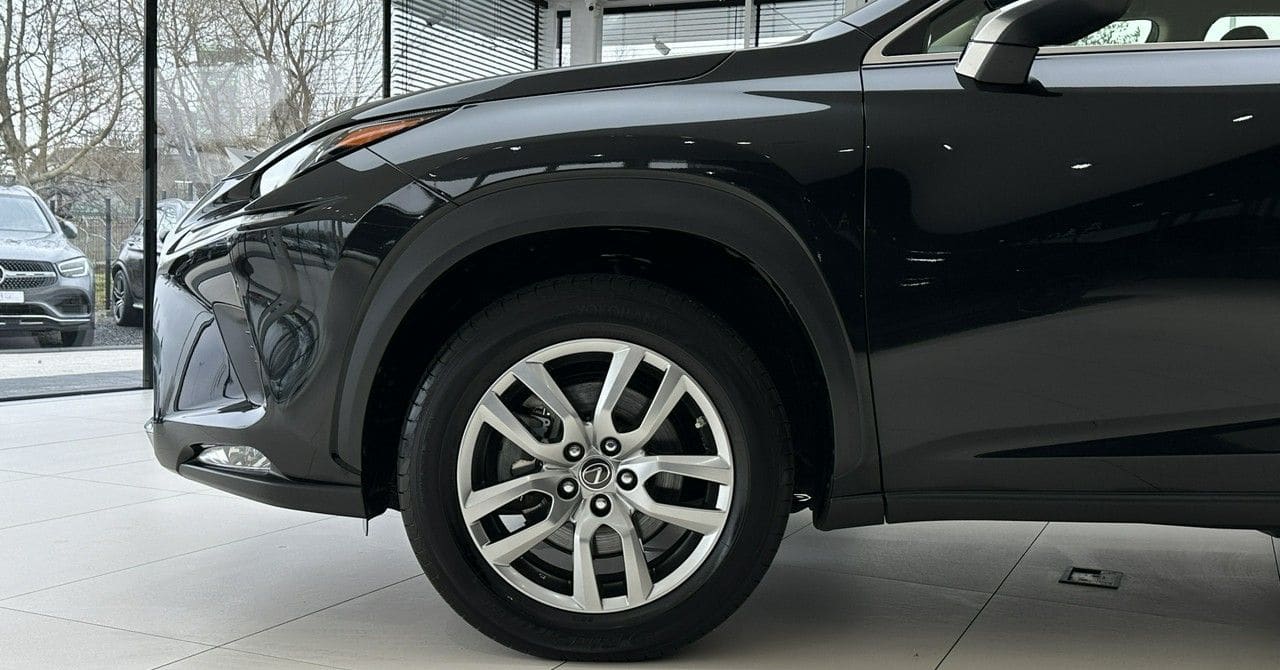 Zdjęcie oferty Lexus NX nr. 18