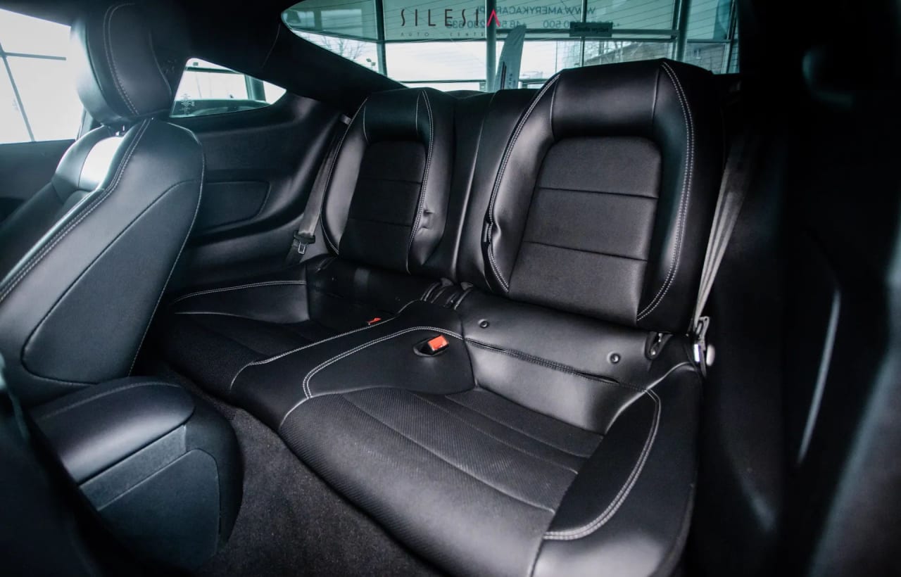 Zdjęcie oferty Ford Mustang nr. 22