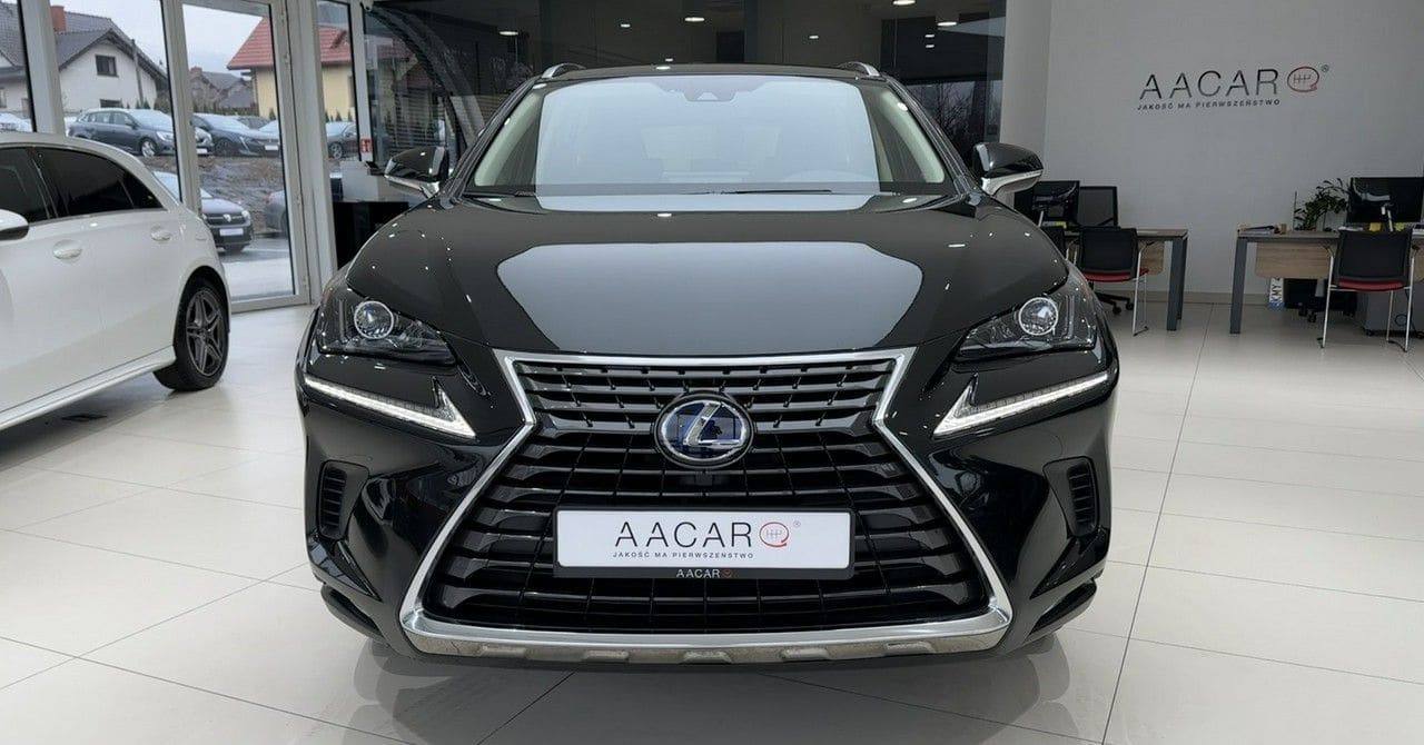 Zdjęcie oferty Lexus NX nr. 7