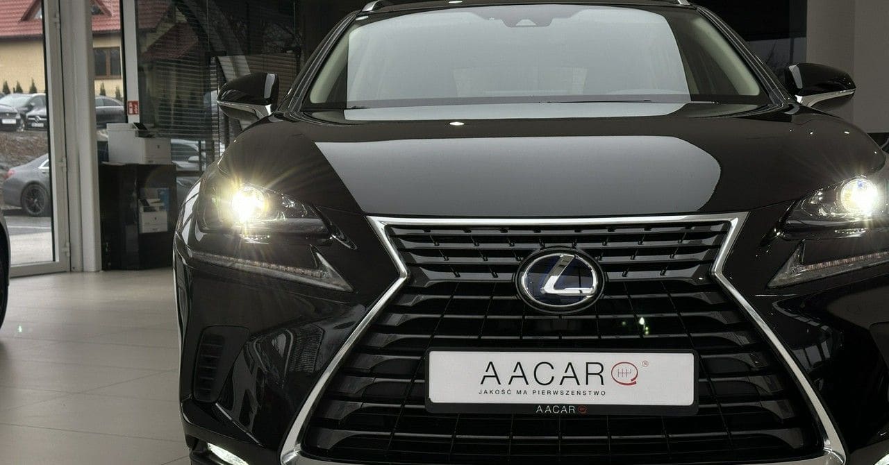 Zdjęcie oferty Lexus NX nr. 37
