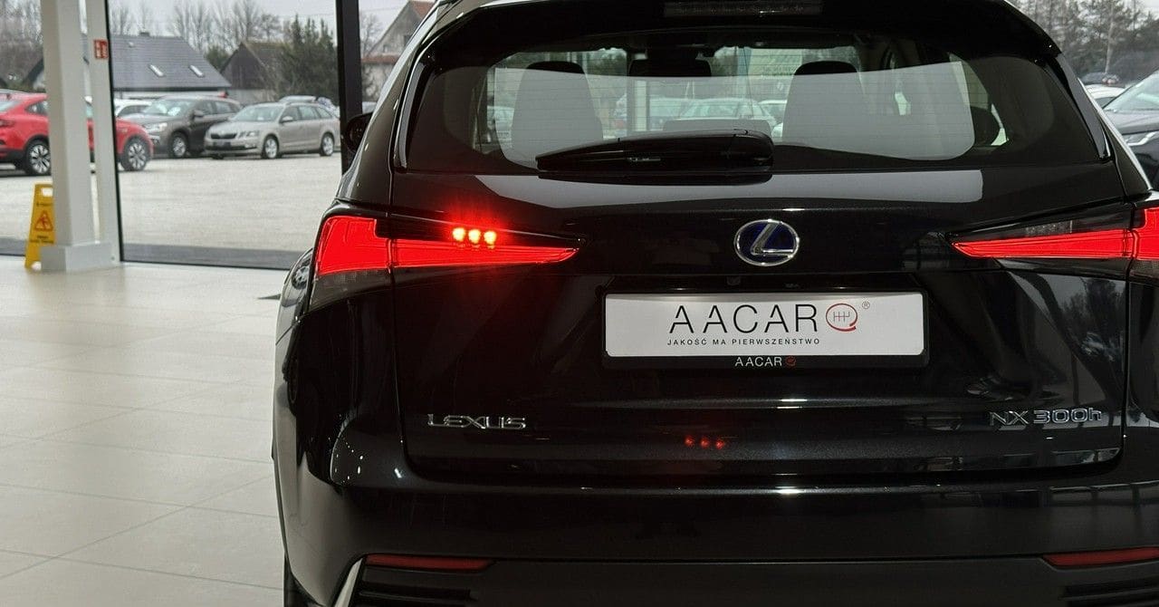 Zdjęcie oferty Lexus NX nr. 38