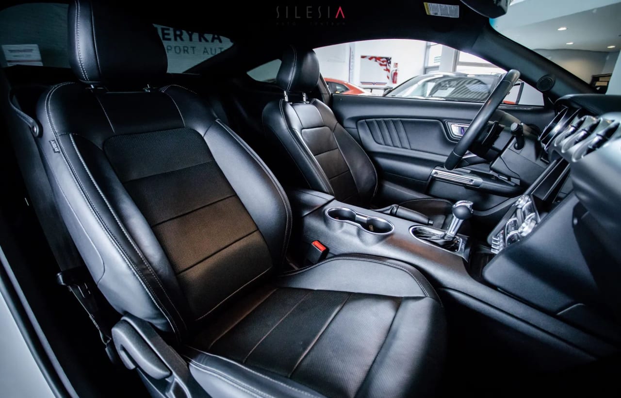 Zdjęcie oferty Ford Mustang nr. 21