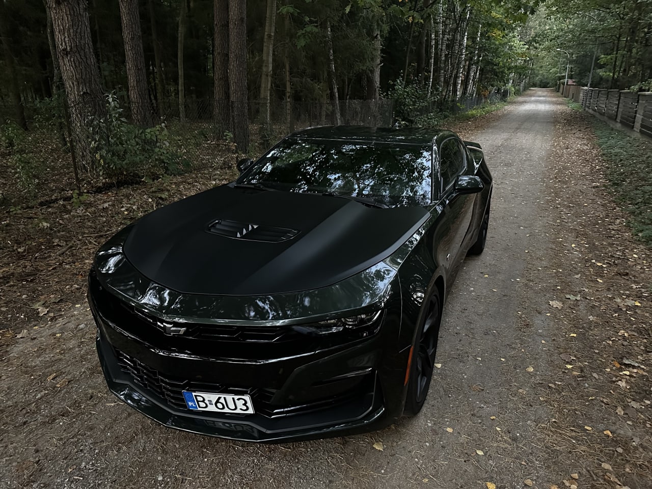 Zdjęcie oferty Chevrolet Camaro nr. 15