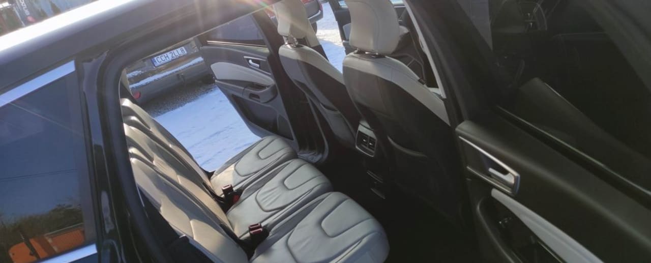 Zdjęcie oferty Ford S-Max nr. 18
