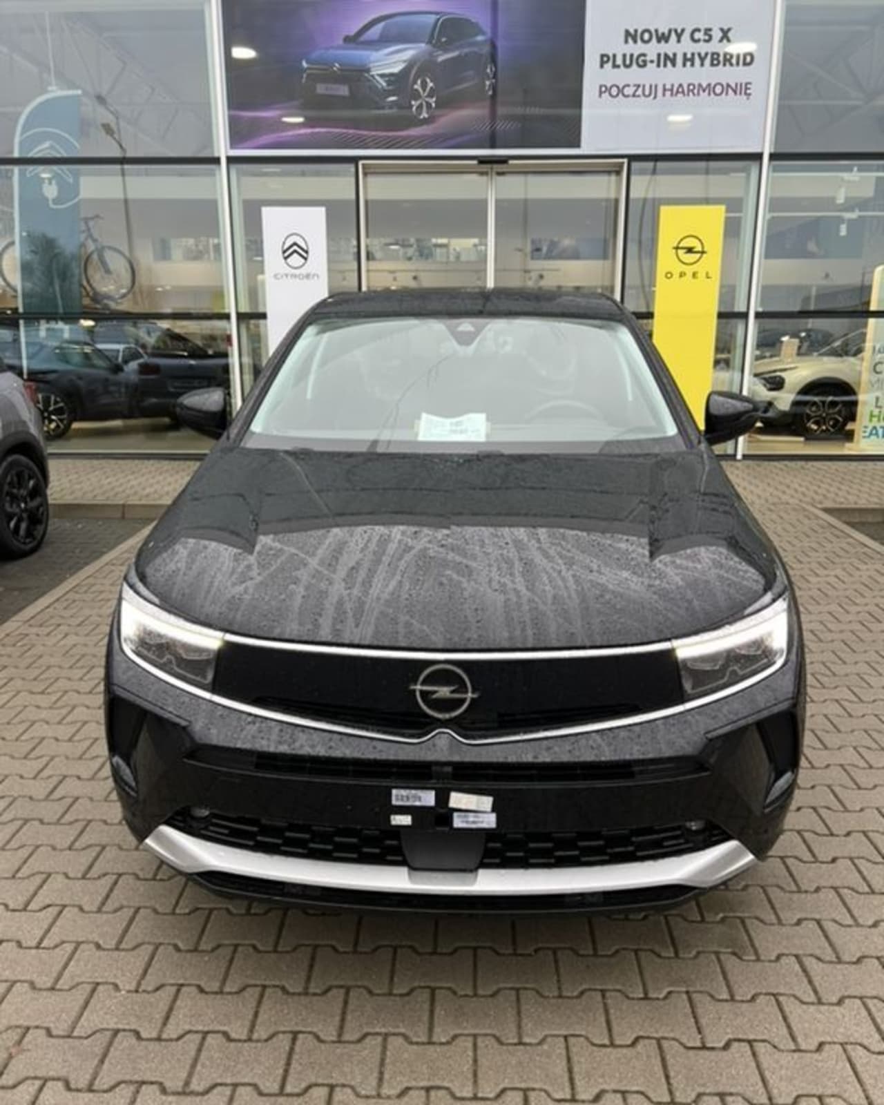 Zdjęcie oferty Opel Grandland nr. 2