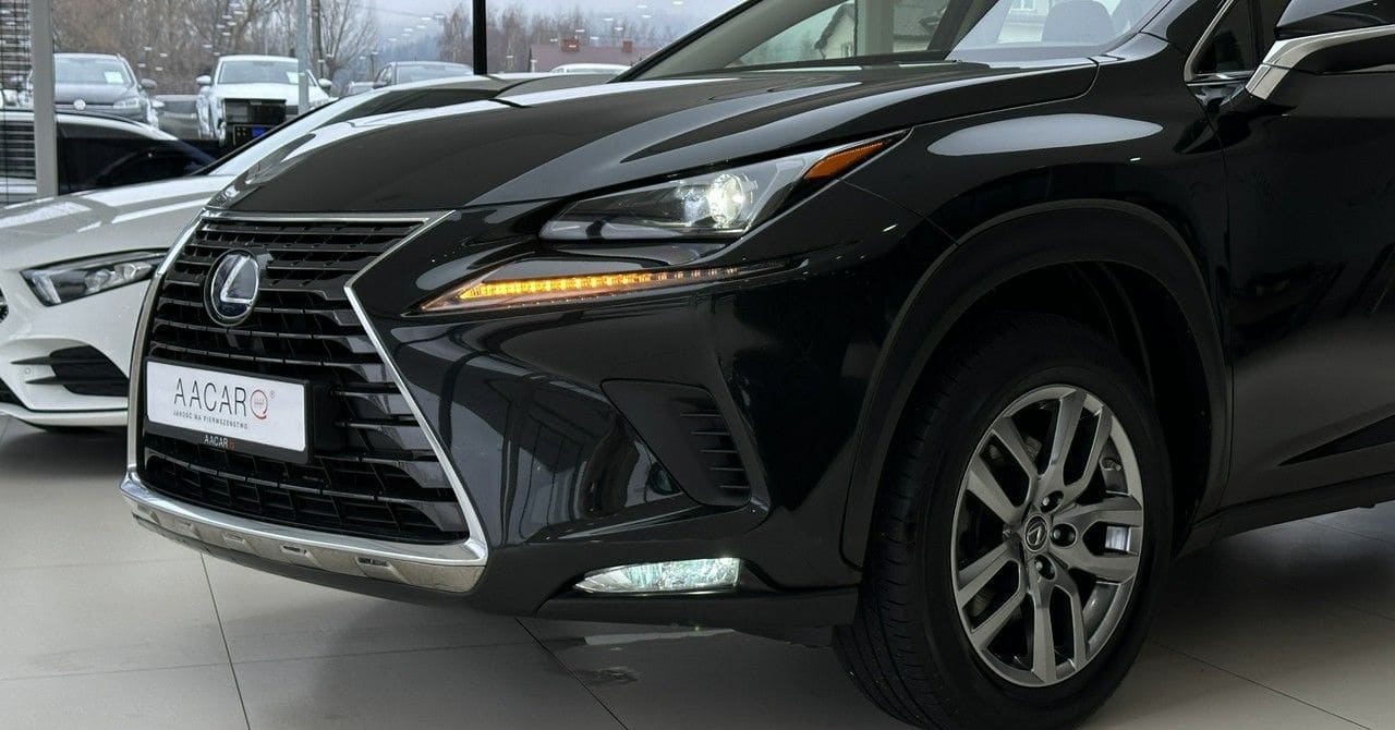 Zdjęcie oferty Lexus NX nr. 37