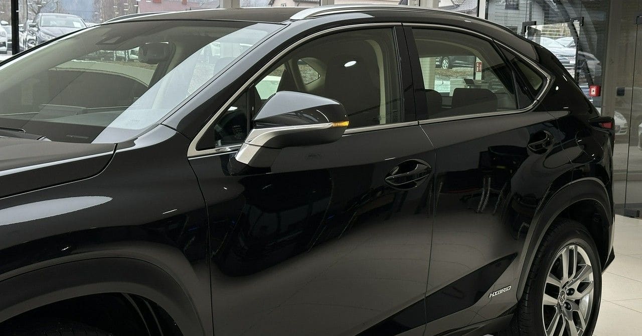 Zdjęcie oferty Lexus NX nr. 35
