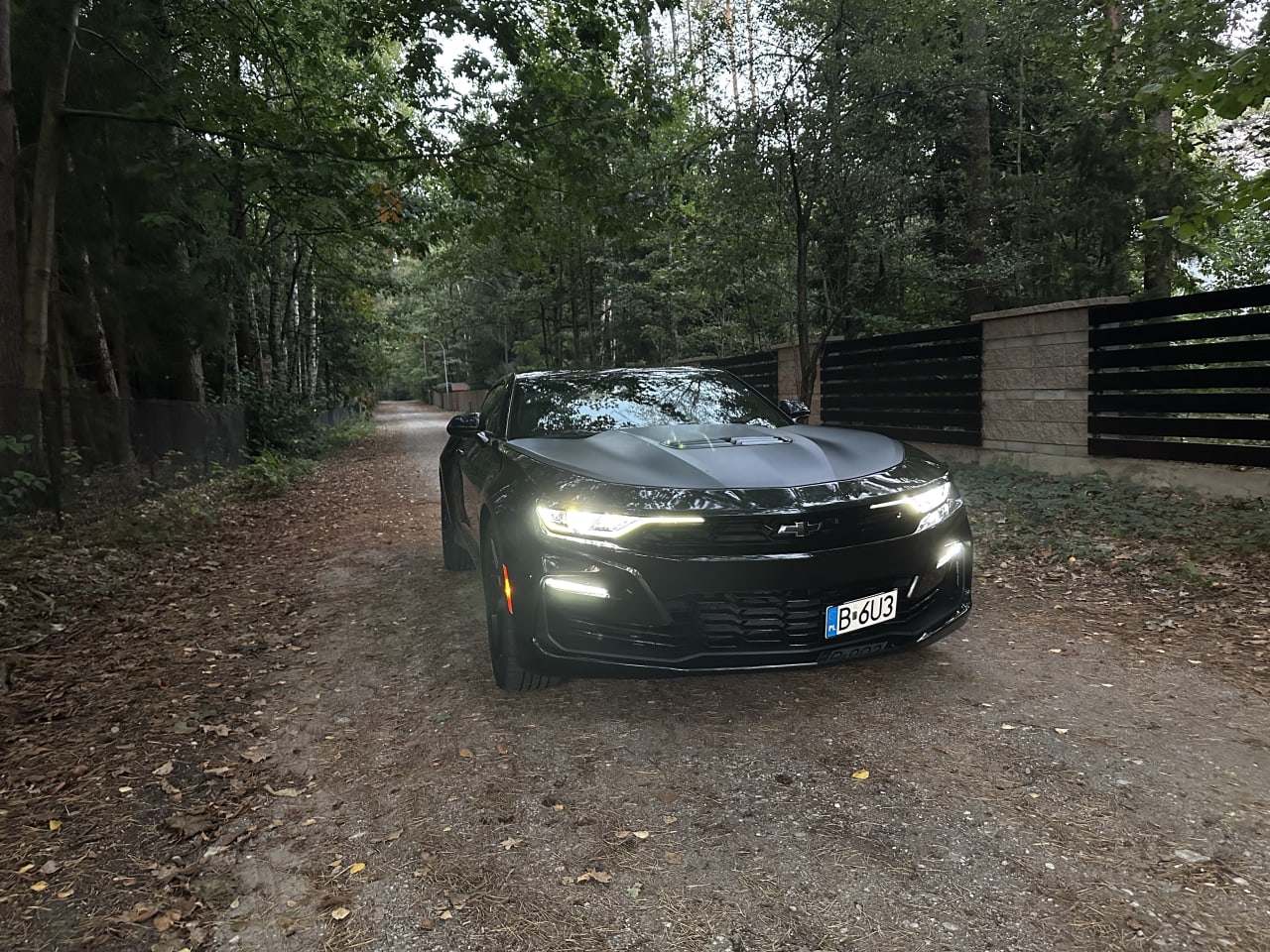 Zdjęcie oferty Chevrolet Camaro nr. 14